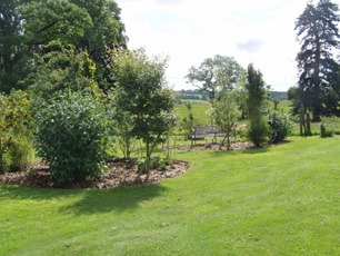 Beech House Garden