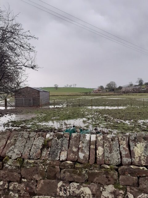 Flooding, Flood Plain, February 9th 2020.