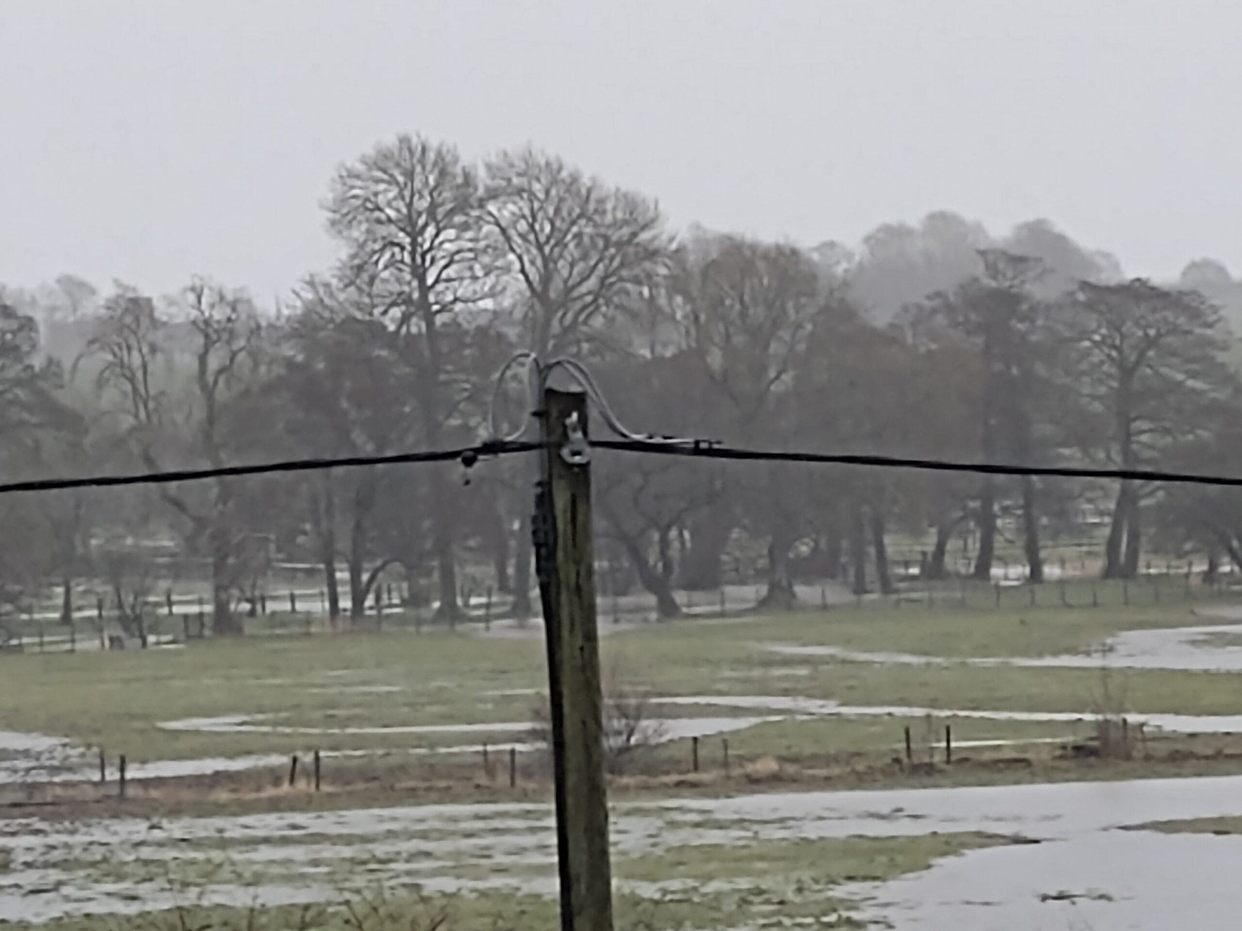 Flood Plain, Feb 20th 2022