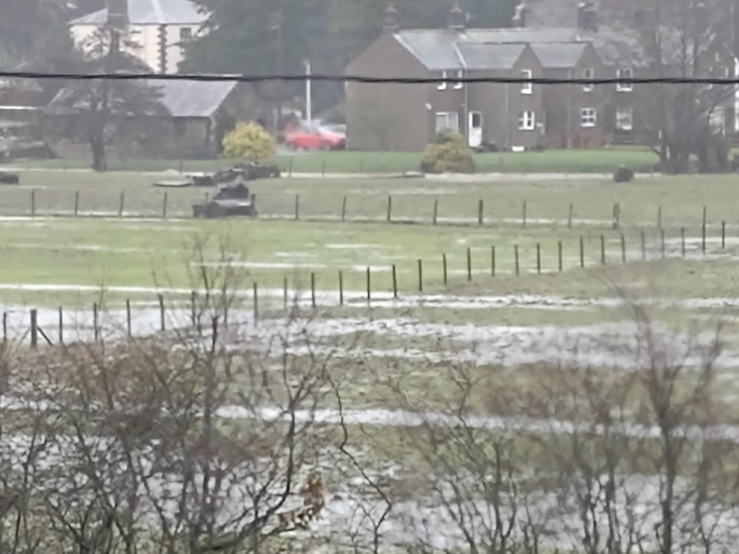 Flood Plain, Feb 20th 2022.