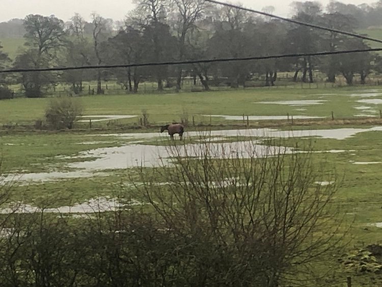 Flood Plain 8th January 2023