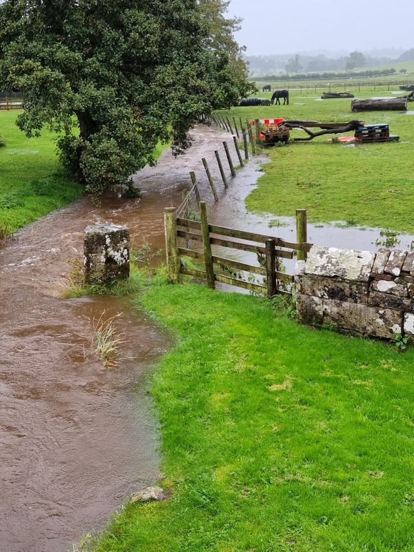 Petteril overflowing 7th October 2022