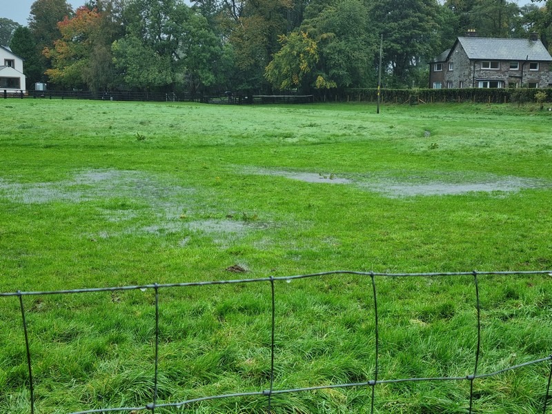 Standing Water in the field by the swimming pool