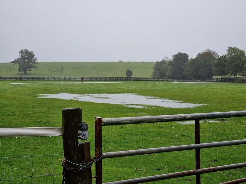 Standing Water in a field by the church, near the stables, 7th October 2022