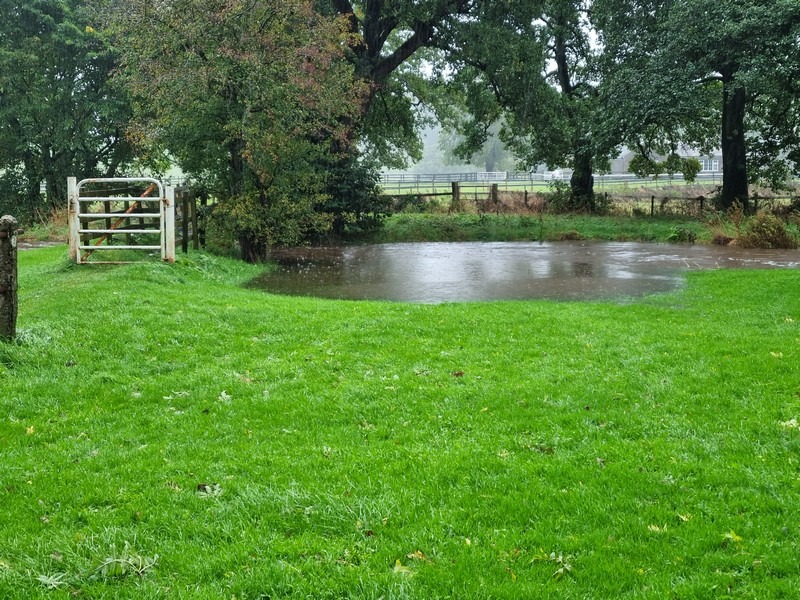 Petteril overflowing on the path to the stables. 7th Oct 2022