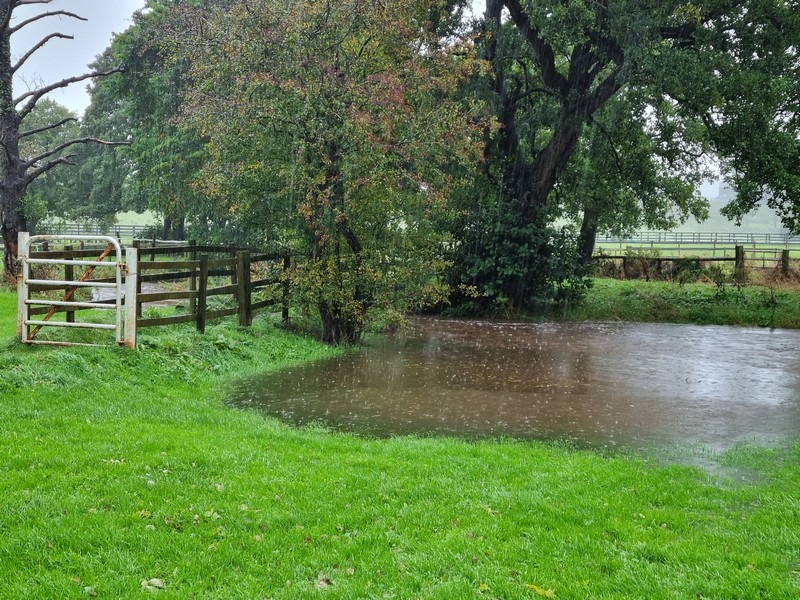 Petteril overflowing on the path to the stables. 7th Oct 2022.