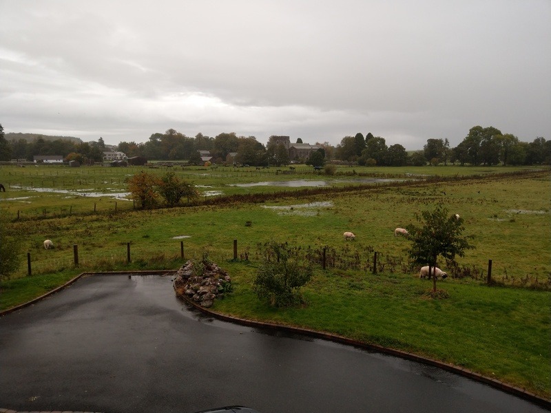 Floodplain 7th October 2022 with Heron in flight