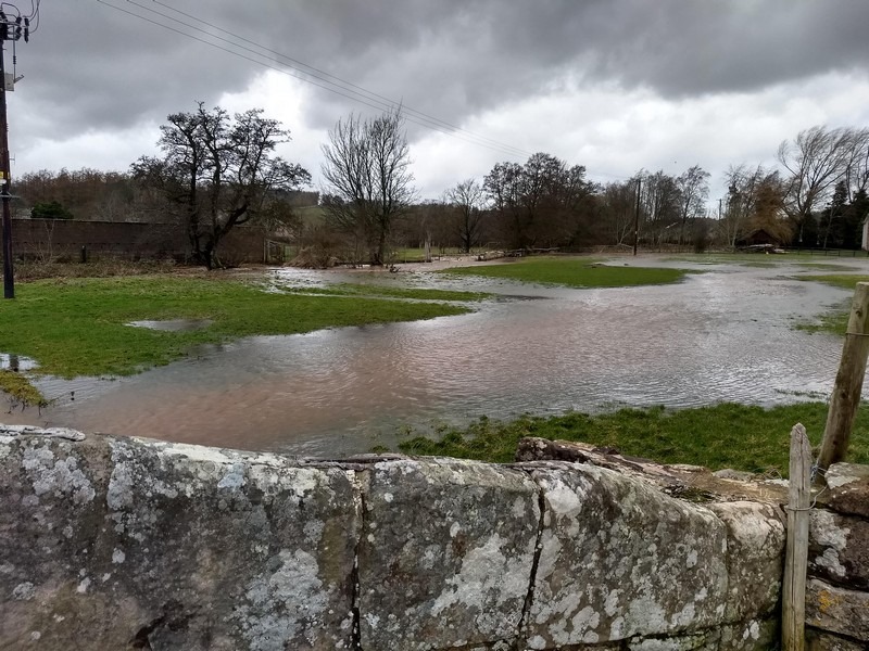 Petteril flowing past the swimming pool, and overflowing