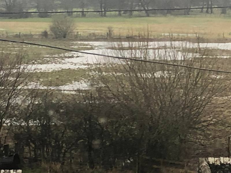 Floodplain January 29th 2024