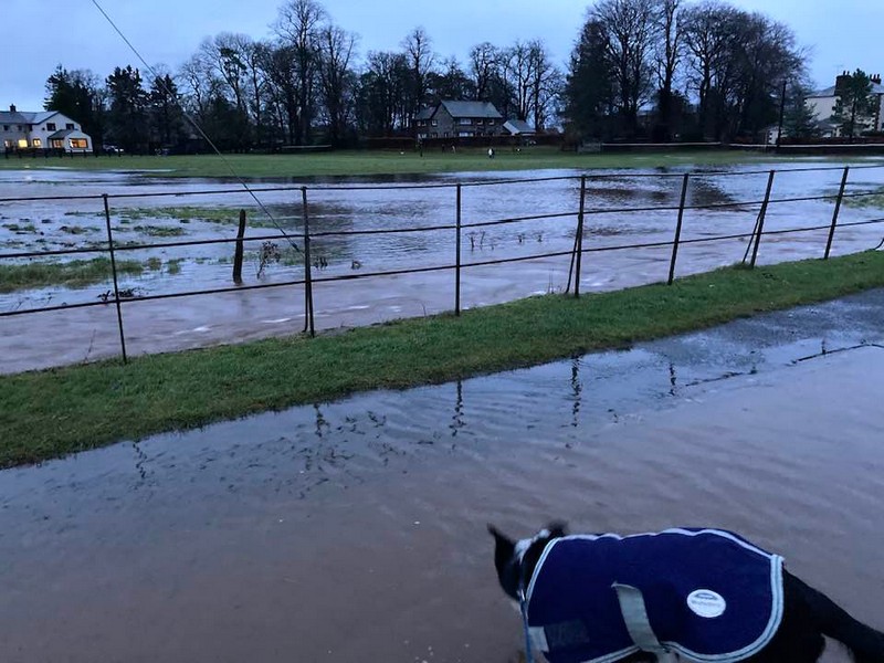 Field at Church Road