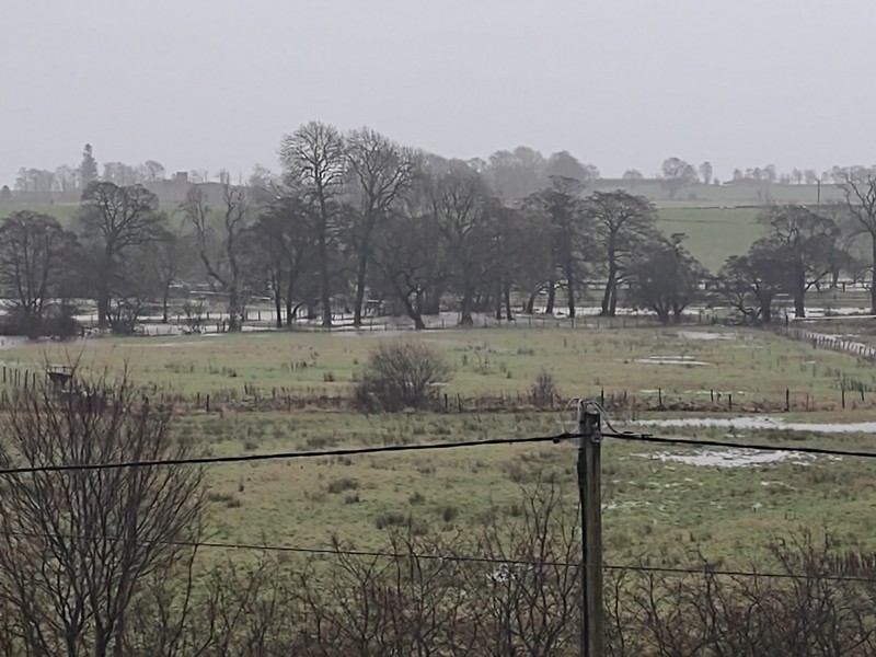 Flood plain 31st Dec 2024