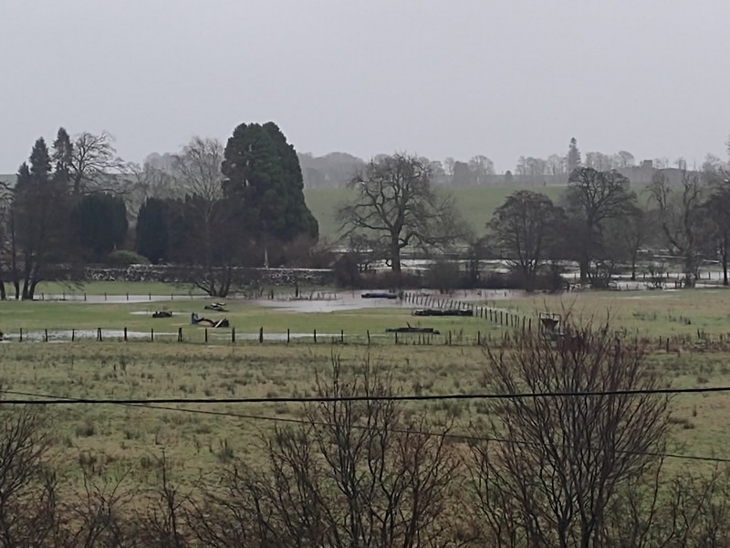 Flood plain 31st Dec 2024
