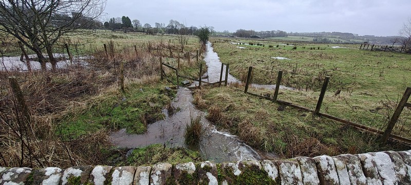 Icold beck and new spring