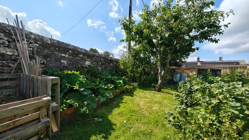 Allotments, late July