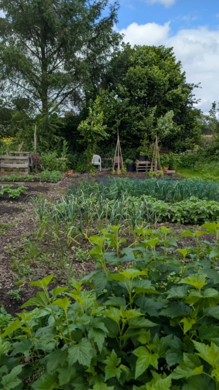 June 2026 and the crops are growing