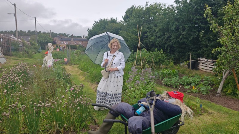 Scarecrows on the allotments for the village scarecrow festival in July